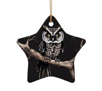 WZYCWB This Star Shape ceramic Christmas tree Late Night Owl printed with a pattern is perfect for winter Christmas party and home decor.