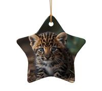 WZYCWB This Star Shape ceramic Christmas tree Leopard kitten printed with a pattern is perfect for winter Christmas party and home decor.