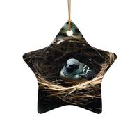 WZYCWB This Star Shape ceramic Christmas tree Little bird nest printed with a pattern is perfect for winter Christmas party and home decor.