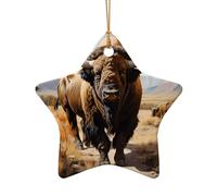 WZYCWB This Star Shape ceramic Christmas tree North American bison herd printed with a pattern is perfect for winter Christmas party and home decor.