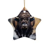 WZYCWB This Star Shape ceramic Christmas tree North American bison printed with a pattern is perfect for winter Christmas party and home decor.