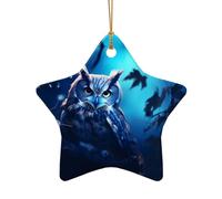 WZYCWB This Star Shape ceramic Christmas tree Owl in the Moonlight printed with a pattern is perfect for winter Christmas party and home decor.