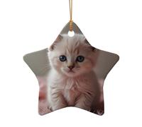 WZYCWB This Star Shape ceramic Christmas tree Pink Kitten printed with a pattern is perfect for winter Christmas party and home decor.
