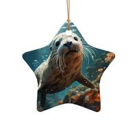 WZYCWB This Star Shape ceramic Christmas tree Seal pup in water printed with a pattern is perfect for winter Christmas party and home decor.