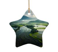 WZYCWB This Star Shape ceramic Christmas tree Wide rice fields printed with a pattern is perfect for winter Christmas party and home decor.