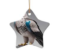 WZYCWB Topological Falcon patterned Star Shape ceramic pendant, perfect for decorating your home Christmas tree for winter parties