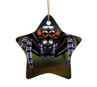WZYCWB Tropical rainforest spiders patterned Star Shape ceramic pendant, perfect for decorating your home Christmas tree for winter parties
