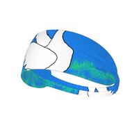 WZYCWB white goose spread its wings Printed sports headband, sports sweatband, moisture wicking