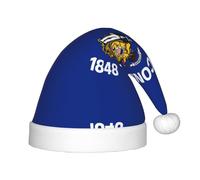 WZYCWB Wisconsin State Flag Patterns Kids' Christmas Party Hats, Soft and Comfortable, Gentle on Skin, Kindergarten Class Party Gifts