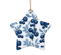 WZYCWB Yummy blueberries. patterned Star Shape ceramic pendant, perfect for decorating your home Christmas tree for winter parties