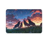 WZYWHJ Anti-Slip Doormat 16 x 24 in Floor mat Rugs Easy to Clean Suitable for Front Door, Living Room, Bathroom Steppe Wolf Pattern