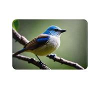 WZYWHJ Anti-Slip Doormat 16 x 24 in Floor mat Rugs Easy to Clean Suitable for Front Door, Living Room, Bathroom Ethereal Nightingale Bird Printing