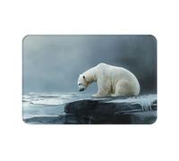 WZYWHJ Anti-Slip Doormat 16 x 24 in Floor mat Rugs Easy to Clean Suitable for Front Door, Living Room, Bathroom Poor Polar Bear Looking at ice Picture