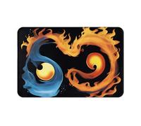 WZYWHJ Anti-Slip Doormat 16 x 24 in Floor mat Rugs Easy to Clean Suitable for Front Door, Living Room, Bathroom Fire and Water Symbol Printing