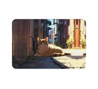 WZYWHJ Anti-Slip Doormat 16 x 24 in Floor mat Rugs Easy to Clean Suitable for Front Door, Living Room, Bathroom Stray cat in The Alley Pattern
