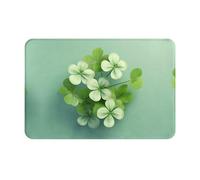 WZYWHJ Anti-Slip Doormat 16 x 24 in Floor mat Rugs Easy to Clean Suitable for Front Door, Living Room, Bathroom Lucky Clover Picture
