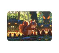 WZYWHJ Anti-Slip Doormat 16 x 24 in Floor mat Rugs Easy to Clean Suitable for Front Door, Living Room, Bathroom Little Squirrel Picking Pine Cones Picture