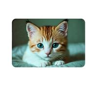 WZYWHJ Anti-Slip Doormat 16 x 24 in Floor mat Rugs Easy to Clean Suitable for Front Door, Living Room, Bathroom Sad Kitten Printing