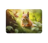 WZYWHJ Anti-Slip Doormat 16 x 24 in Floor mat Rugs Easy to Clean Suitable for Front Door, Living Room, Bathroom Cute Little Squirrel Printing