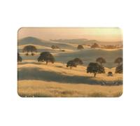 WZYWHJ Anti-Slip Doormat 16 x 24 in Floor mat Rugs Easy to Clean Suitable for Front Door, Living Room, Bathroom Prairie Scene Picture