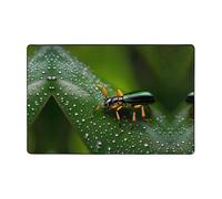 WZYWHJ anti-slip floor mat carpet Rainbows Insects Prints soft and comfortable good water absorption sizeName for living room and balcony