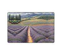 WZYWHJ Area Rugs,Living Room Floor Mats Runner Rug Non-Skip Nursery Mat Playing Carpet 60 x 39 inch Lavender Fields Prints