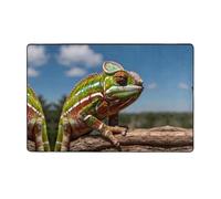 WZYWHJ Area Rugs,Living Room Floor Mats Runner Rug Non-Skip Nursery Mat Playing Carpet 60 x 39 inch Beautiful chameleon Pattern