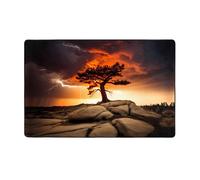 WZYWHJ Area Rugs, Living Room Floor Mats Runner Rug Non-Skip Nursery Mat Playing Carpet 60 x 39 inch Thunder And Lightning Printed