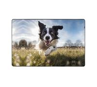 WZYWHJ Area Rugs, Living Room Floor Mats Runner Rug Non-Skip Nursery Mat Playing Carpet 60 x 39 inch Running Border Collie Printed