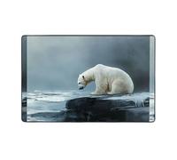WZYWHJ Area Rugs,Living Room Floor Mats Runner Rug Non-Skip Nursery Mat Playing Carpet 60 x 39 inch Poor polar bear looking at ice Picture