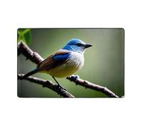 WZYWHJ Area Rugs,Living Room Floor Mats Runner Rug Non-Skip Nursery Mat Playing Carpet 60 x 39 inch Ethereal Nightingale Bird Picture