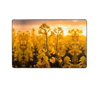WZYWHJ Area Rugs, Living Room Floor Mats Runner Rug Non-Skip Nursery Mat Playing Carpet 60 x 39 inch Yellow rapeseed flowers Printed