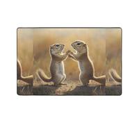WZYWHJ Area Rugs,Living Room Floor Mats Runner Rug Non-Skip Nursery Mat Playing Carpet 60 x 39 inch Naughty Groundhog Picture