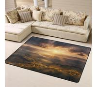 WZYWHJ Area Rugs,Living Room Floor Mats Runner Rug Non-Skip Nursery Mat Playing Carpet 63 x 48 inch morning sun Printed