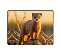 WZYWHJ Area Rugs,Living Room Floor Mats Runner Rug Non-Skip Nursery Mat Playing Carpet 63 x 48 inch meerkats Printed