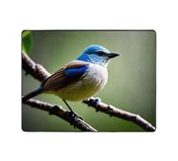 WZYWHJ Area Rugs,Living Room Floor Mats Runner Rug Non-Skip Nursery Mat Playing Carpet 63 x 48 inch Ethereal Nightingale Bird Picture