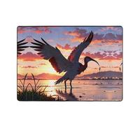 WZYWHJ Area Rugs,Living Room Floor Mats Runner Rug Non-Skip Nursery Mat Playing Carpet 80x58 inch Birds flying by the sea Prints