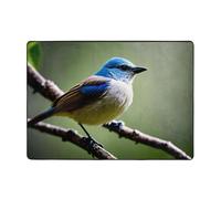 WZYWHJ Area Rugs,Living Room Floor Mats Runner Rug Non-Skip Nursery Mat Playing Carpet 80x58 inch Ethereal Nightingale Bird Picture