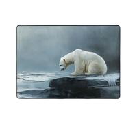 WZYWHJ Area Rugs,Living Room Floor Mats Runner Rug Non-Skip Nursery Mat Playing Carpet 80x58 inch Poor polar bear looking at ice Picture
