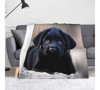 WZYWHJ Black Labrador Puppy Prints Blankets Throws - Lightweight Warm Comfortable Soft Durable Home Practical Rest Outdoor