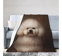 WZYWHJ Blankets 50"x40" - Lightweight, Durable, and Compact Anti-Wrinkle Blanket for Bed, Sofa, Camping, Cinema, and Travel Bichon Frise Dog Printed