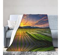 WZYWHJ Blankets 60"x50" - Lightweight, Durable, and Compact Anti-Wrinkle Blanket for Bed, Sofa, Camping, Cinema, and Travel Rice Paddy Field Sun Printing