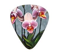 Wzywhj Blooming Orchids Printing Guitar Plectrum Easy Grip Uke Picks Holding， Ukulele, Acoustic And Electric Guitar，12 Piece