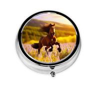 WZYWHJ Brown Horse printing Circular medicine box storage, portable travel with compartments, mini pill dispenser