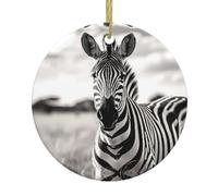 WZYWHJ Christmas Ceramic Round Pendant -2.9in Decoration Tree Hanging Festival Ornament for Stores, and Homes Black and white zebra Prints