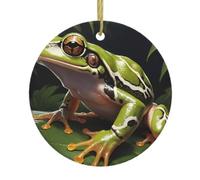WZYWHJ Christmas Ceramic Round Pendant -2.9in Decoration Tree Hanging Festival Ornament for Stores, and Homes Lightning Tree Frog Prints