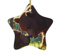 WZYWHJ Christmas Ceramic Star Pendant Decoration Tree Hanging Festival Ornaments - for Supermarkets, Homes Big Brown Bear Prints