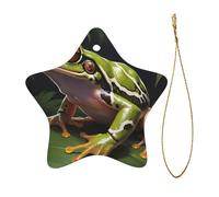 WZYWHJ Christmas Ceramic Star Pendant Decoration Tree Hanging Festival Ornaments - for Supermarkets, Homes Lightning Tree Frog Prints