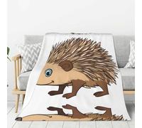 WZYWHJ cute Cartoon Hedgehog Pattern Thick flannel blanket 80x60in double-sided flannel vertical soft sofa blanket