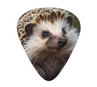 Wzywhj Cute Hedgehog Pattern Guitar Pick Easy Grip Uke Picks For Your Bass, Ukulele, Acoustic And Electric Guitarï¼Œ12 Piece